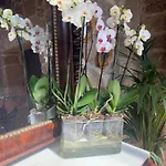 Bed & Breakfast Rustico San Jaime Ourense
