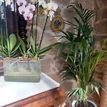 Rustico San Jaime