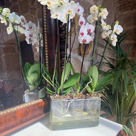 Frühstückspension Rustico San Jaime Ourense