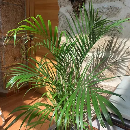 Rustico San Jaime 3*