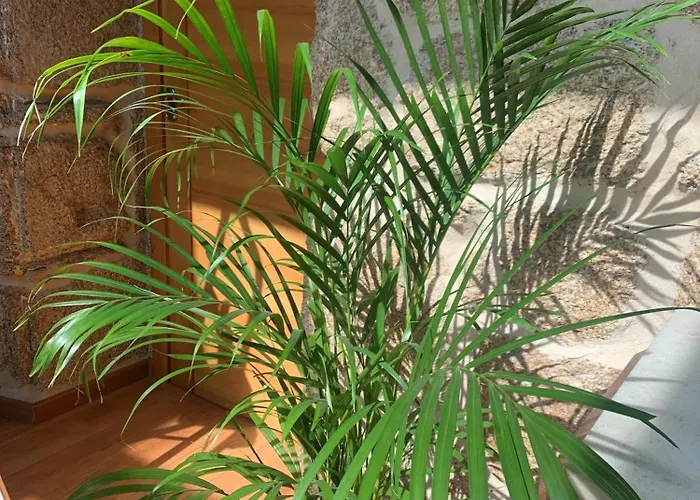 Rustico San Jaime 3*